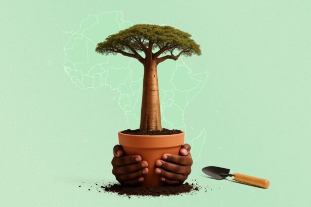 Africa’s Youth Unite for Climate Action and Pan-African Solidarity