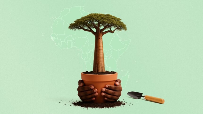 Africas Youth Unite for Climate Action and Pan-African Solidarity - Africalix Africa’s Youth Unite for Climate Action and Pan-African Solidarity