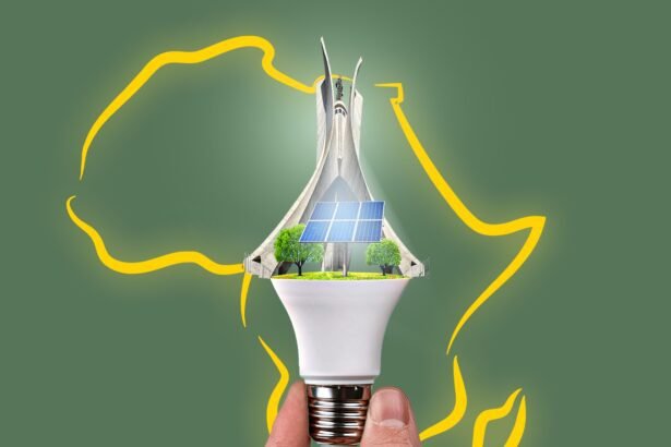 Algeria’s Role in Pan-African Unity and Shared Growth