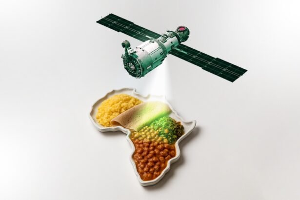 Empowering Continental Solidarity Big Data as a Catalyst for Pan-African Hunger Eradication Efforts