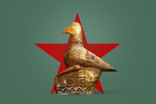 Golden Goose or Fool’s Gold Zimbabwe’s Shiny Trade Raises Eyebrows