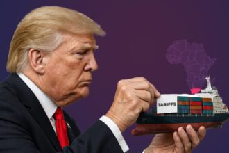 South Africa Fights Back as U.S. Tariffs Bite Exports