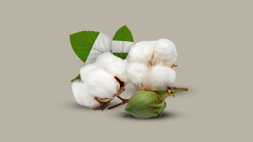 Weaving Freedom Nigerias Push for African Textile Autonomy - Africalix Weaving Freedom Nigeria’s Push for African Textile Autonomy