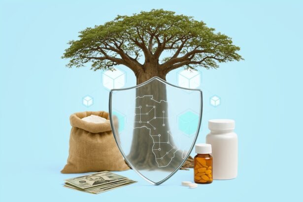 Africa’s Data Sovereignty in Humanitarian Blockchain