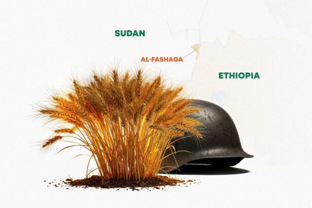 Ethiopia and Sudan Try Peace Talks Before the Next Bullet Flies