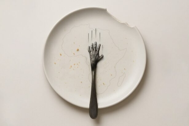 Pan-African Strategies to Combat Climate Hunger in West Africa