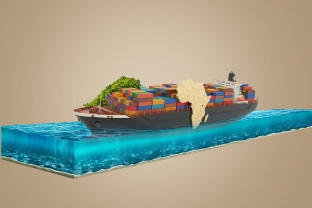 Seismic Solidarity Pan-African Visions for Resilience