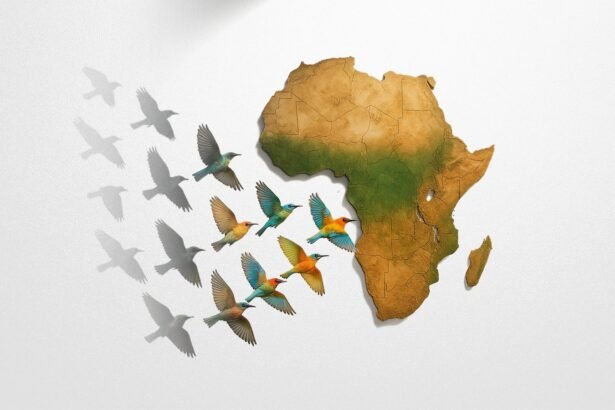 Weaving the Tapestry of Return Pan-African Kinship and the Embrace of the Exiled