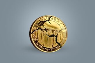 Zimbabwe's Currency From Gold Rush to Gold Bust