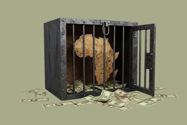 Globalization's Mirage Pan African Identity in the Grip of Diplomatic Shifts