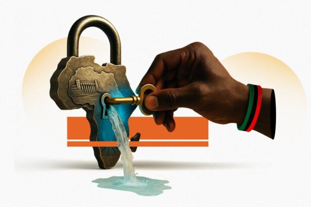 Rivers of Resilience Africa’s Hydropolitical Struggles