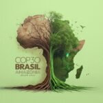 Belém's Mandate Africa's Climate Resolve at COP30