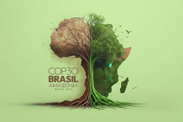 Belém's Mandate Africa's Climate Resolve at COP30
