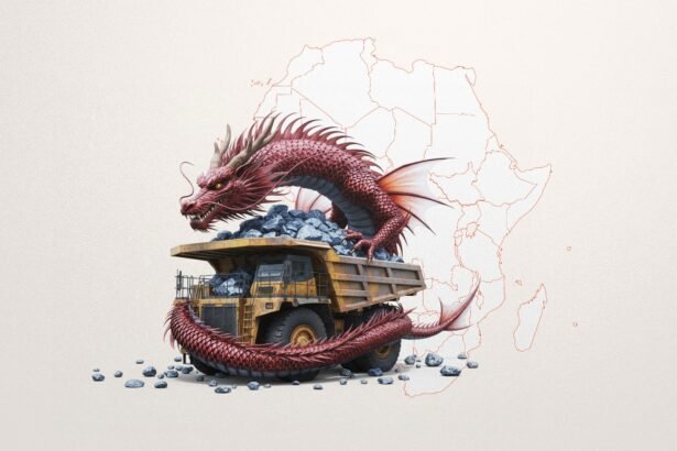 Dragon in the Mine China’s Extractive Empire