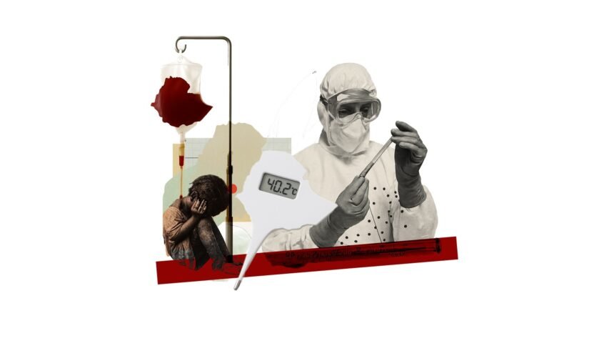 Ethiopia's Marburg Siege Containment in the Cradle of Humanity