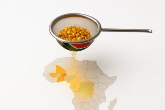 Fading Veins South Africa's Gold Eclipse