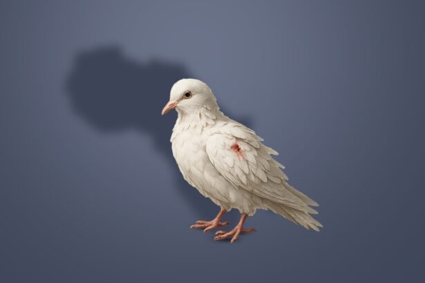 From ONUC to Haiti Africa’s Peacekeeping Trials and Limits