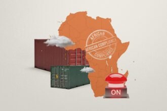 Homegrown Sanctions, Compliance Can Shield African Trade