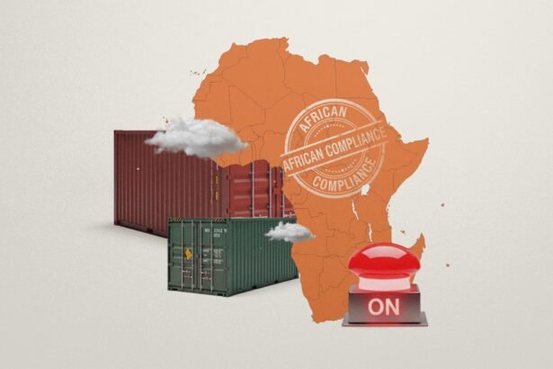 Homegrown Sanctions, Compliance Can Shield African Trade