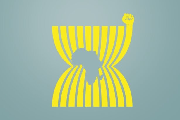 South-South Ascendant ASEAN and Africa’s Quiet Economic Revolution