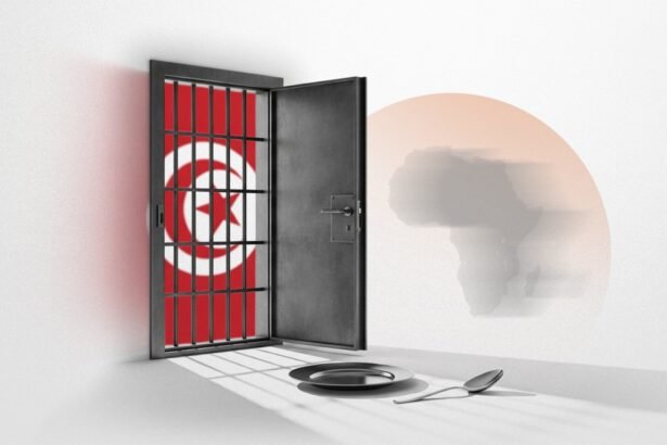 Tunisia’s Hunger Strikes Signal Africa’s Democratic Unraveling