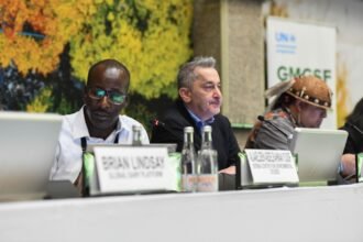 Nairobi to Khartoum: Sudan’s Climate Voice from Conflict to Global Environmental Governance