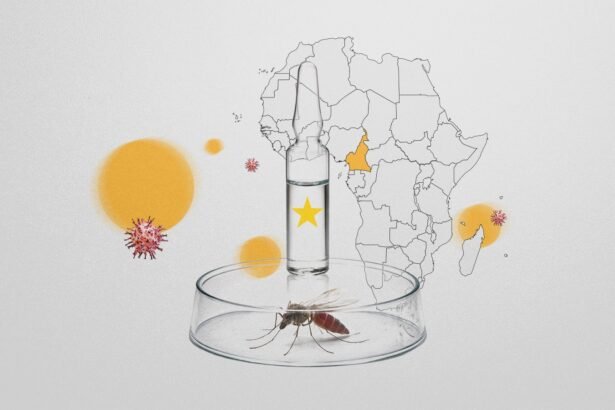 Africa’s Malaria Fight at Risk as Aid Cuts Threaten Gains