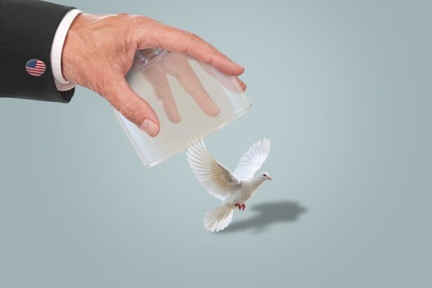 Shattered Alliances Trump's 2025 Foreign Policy on US-Africa