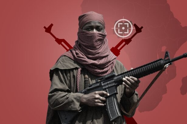 US Strikes in Nigeria Expose Risks of Foreign Counterterrorism