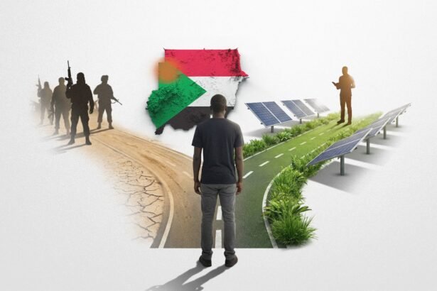 Youth at the Frontlines Climate Activism and Peacebuilding in War-Torn Darfur