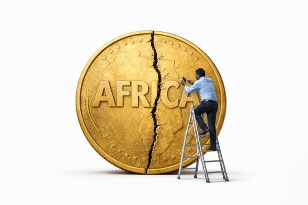 Africa Builds Unified Financial Pillars Through Monetary Reform