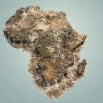 Africa's 2026 Deluge Mozambique, South Africa, Tunisia Submerged