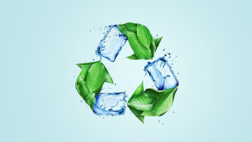 Africa's IMF Odyssey Debts, Dependencies, and Dawn of Self-Reliance