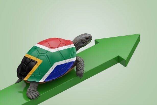 Continental Fiscal Shifts Redefine South Africa’s Outlook