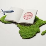 Diaspora's Reclaimed Roots African Citizenship Beckons