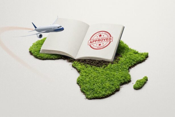 Diaspora's Reclaimed Roots African Citizenship Beckons