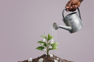 Gems for Nationality Africa's Evolving Investment Landscape