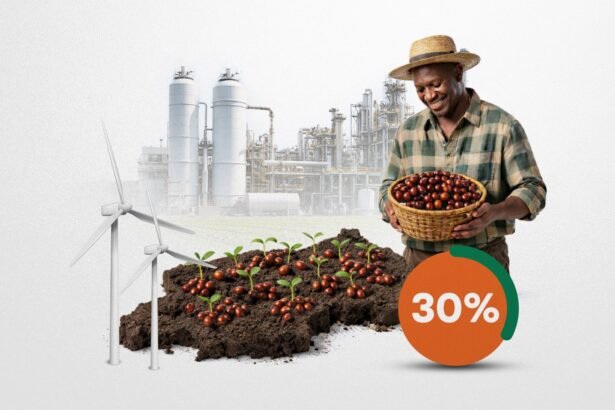 Rwanda’s New Carbon Credit Framework Puts Communities At The Centre Of Climate Finance