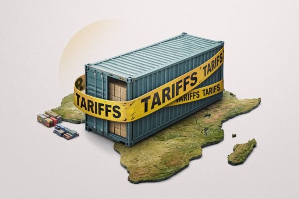 Southern Africa Bets on AfCFTA to Withstand Global Tariffs
