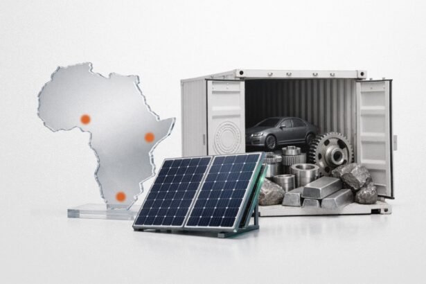 Africa’s Investment Tides Shift Toward Regional Flows