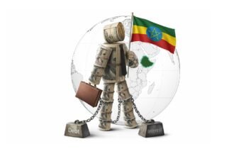 Ethiopia's Debt Odyssey Continental Currents