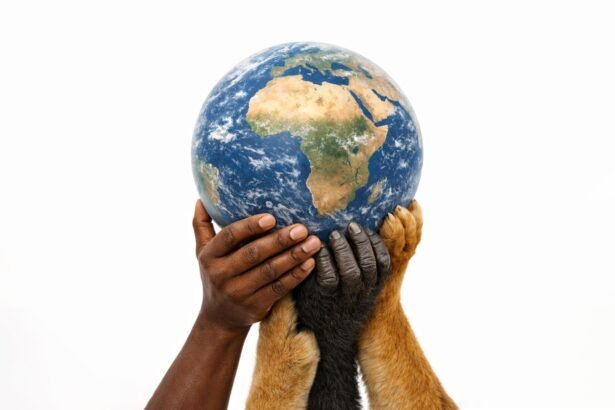 How Africa Is Rewriting the Rules of Wildlife Coexistence