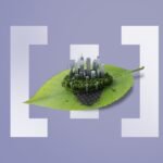 From Dubai to Kigali: How Policy, People, and Culture Turn Sustainability into a Career Path