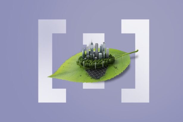 From Dubai to Kigali: How Policy, People, and Culture Turn Sustainability into a Career Path