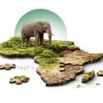 Africa Conservation Faces Crisis After Aid Funding Cuts