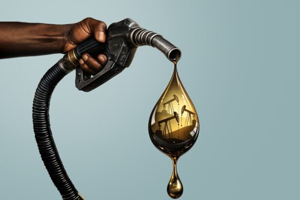Nigeria Turns Oil Into Industrial Growth and Regional Influence