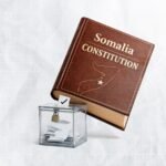 Somalia's Constitutional Changes Test Horn Democracy