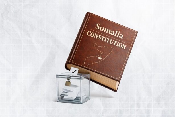 Somalia's Constitutional Changes Test Horn Democracy
