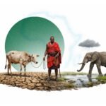 Drought and Climate Shocks Hit Africa’s Pastoral Lands