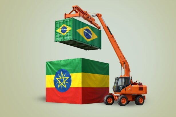 Ethiopia-Brazil Meat Trade Boosts Food Security